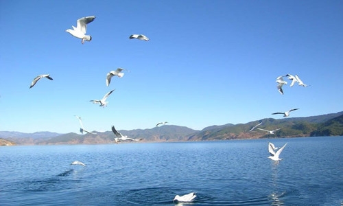 青海