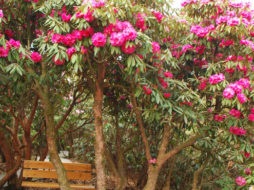 毕节