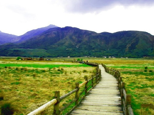 保山