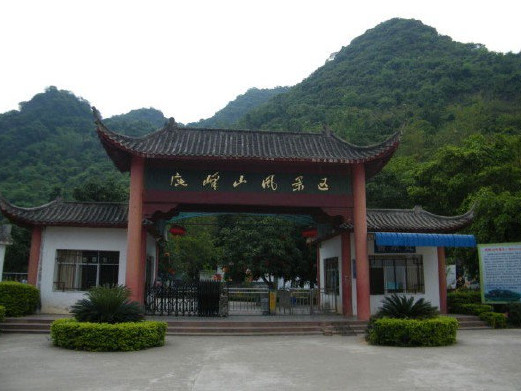 玉林